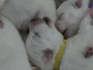 image020.jpg