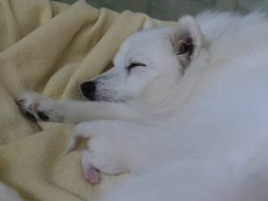 image002.jpg