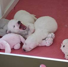 image036.jpg