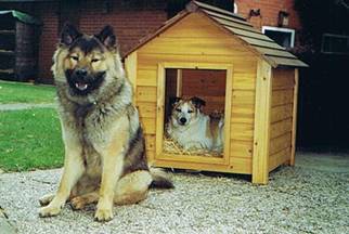 Gipsy en Tamby